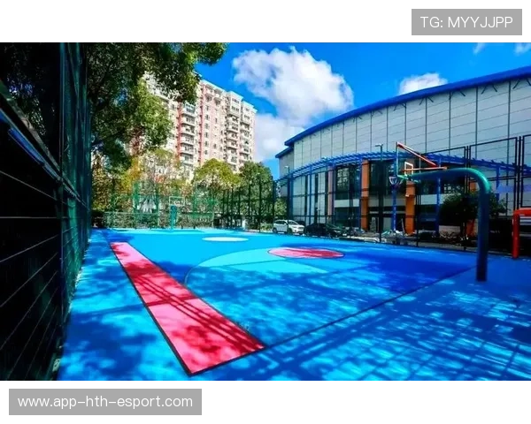 中国篮球社区篮球活动与城市公共体育设施互动关系，社区篮球运动