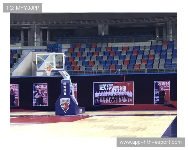 篮球衍生品在中国市场的接受度调查,篮球市场现状 篮球衍生品在中国市场的接受度调查,篮球市场现状